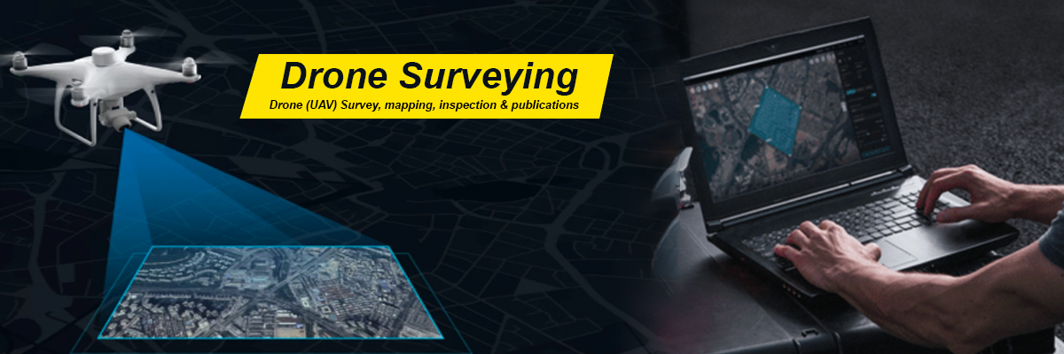 Drone (UAV) Survey